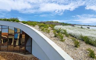 The glass façade creates an exciting contrast and picks up the colours in the surrounding landscape. Pitched green roof flowering white and purple